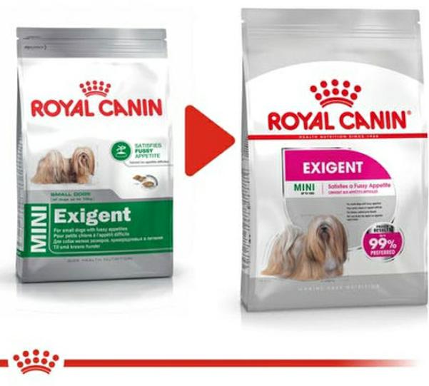 غذای سگ نژاد کوچیک بدغذا اگزیجنت رویال کنین      royal canin mini exigent