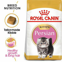 غذای گربه کیتن پرشین رویال کنین  2کیلو    royal canin kitten persian