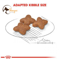 غذای خشک سگ مینی ادالت رویال کنین (Royal Canin Mini Adult) در وزن ۲ کیلوگرم