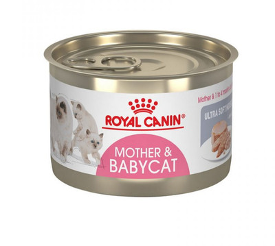 کنسرو بچه گربه و مادر رویال کنین (Royal Canin Mother & Babycat Starter) وزن 195 گرم