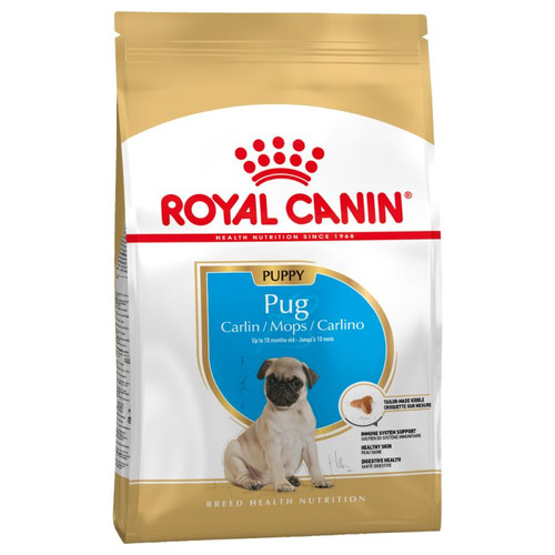 رویال کنین pug puppy.پاگ پاپی